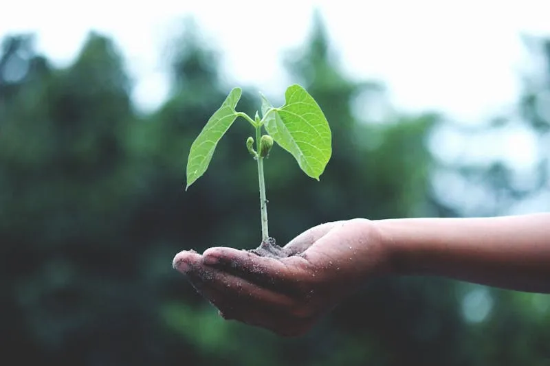 Parcoursup : 30 000 opportunités à saisir dans les filières agricoles